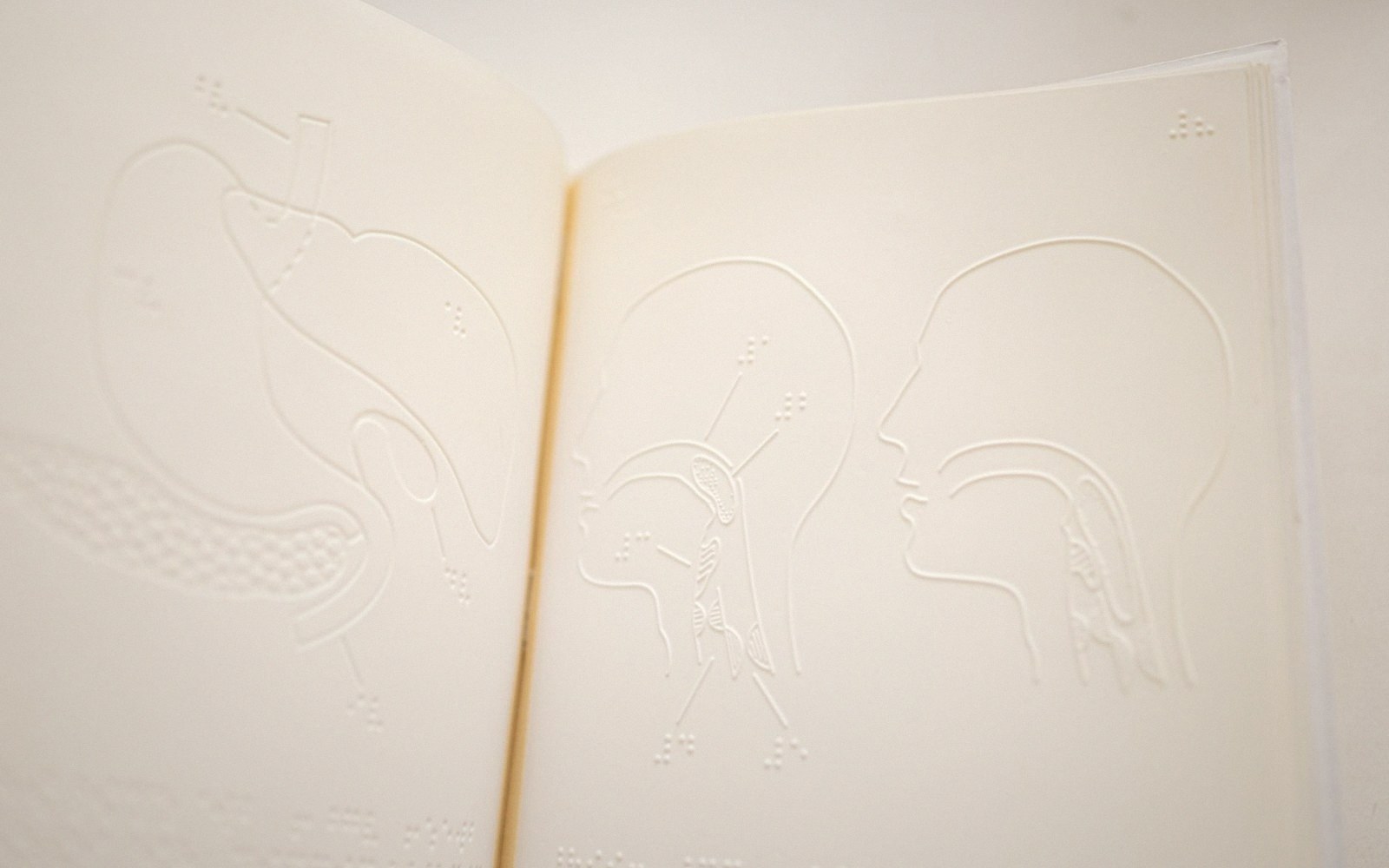 Embossed braille book showing raised anatomical diagrams of a stomach and human head profiles