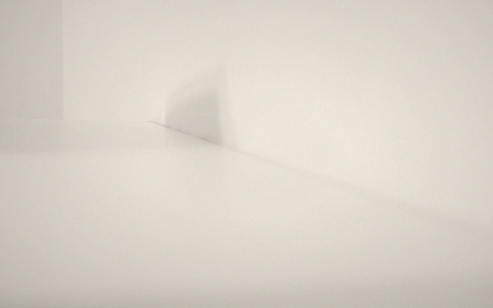 A minimalist study of soft folds and shadow on a pale curved surface