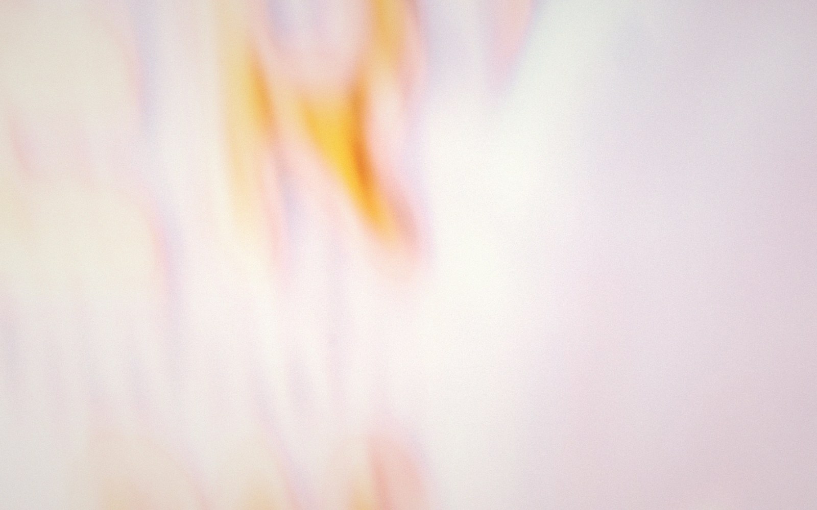 Blurred streaks of soft orange and lavender light against a pale background
